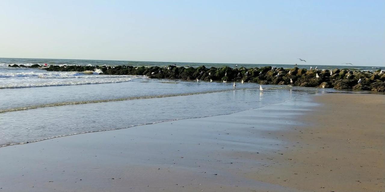 Sunny Bank Westende Zeezicht Миделкерке Екстериор снимка